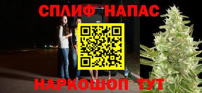 хмурый Гусь-Хрустальный