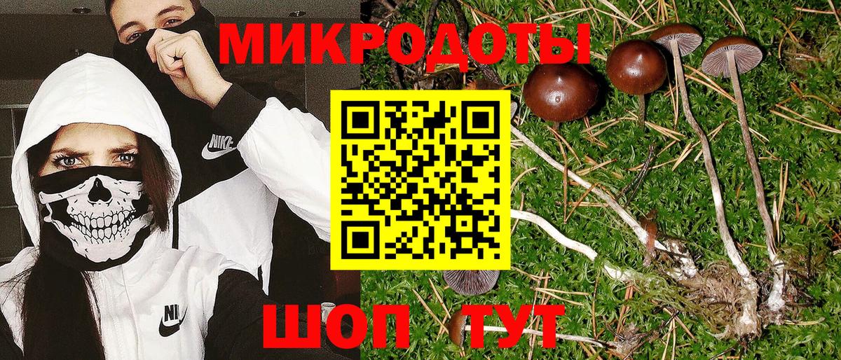 Галлюциногенные грибы GOLDEN TEACHER Владимир