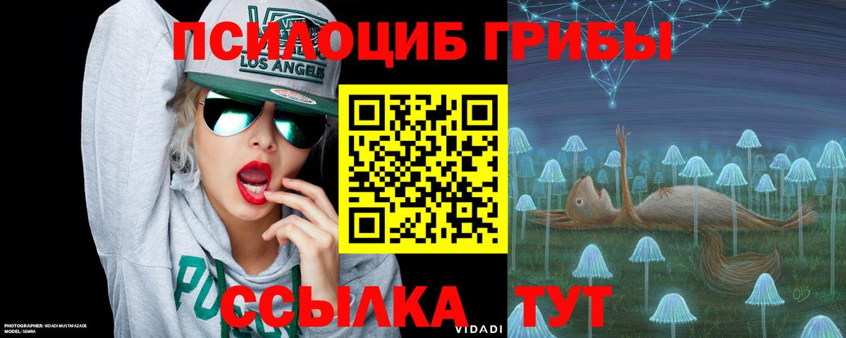 МЕФ Владимир