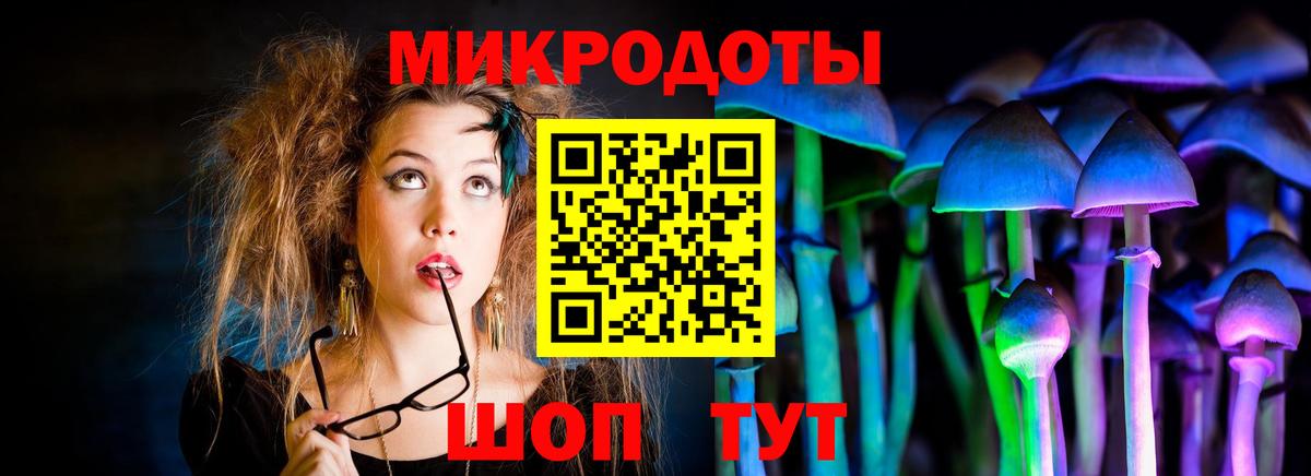 Владимир  Псилоцибиновые грибы прущие грибы  Вход с VPN 